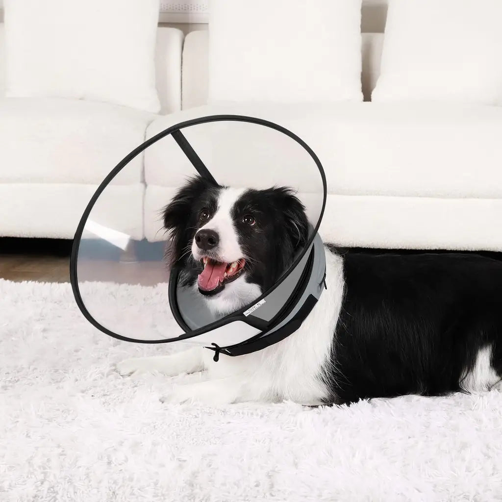 Sponge Core Dog Recovery Donut Collar – Soft Cone Alternative with Clear Vision Shield