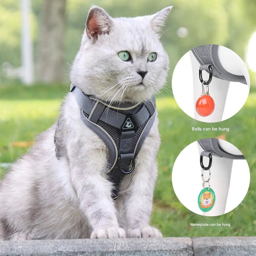 Reflective Vest Harness & Leash – Breathable for Dogs & Cats