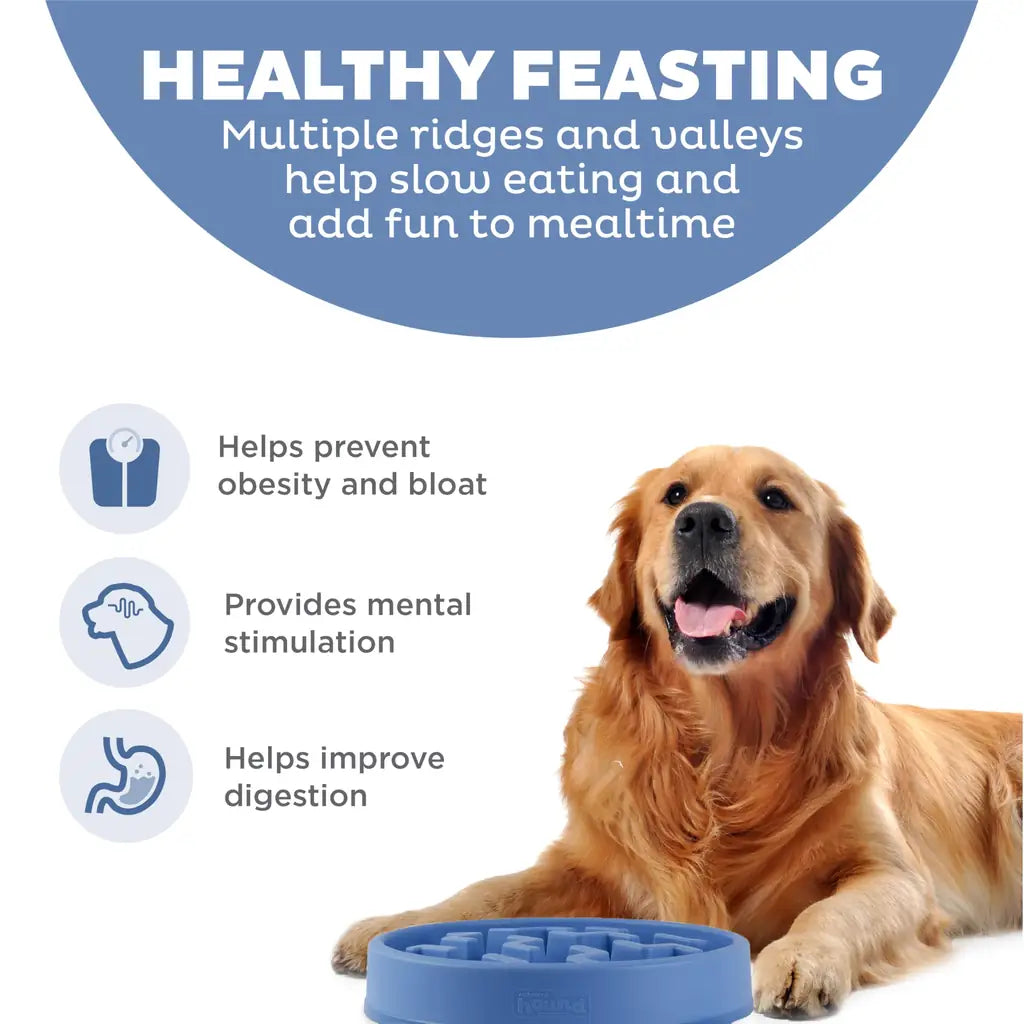 4-Cup Slow Feeder Dog Bowl for Large Breeds