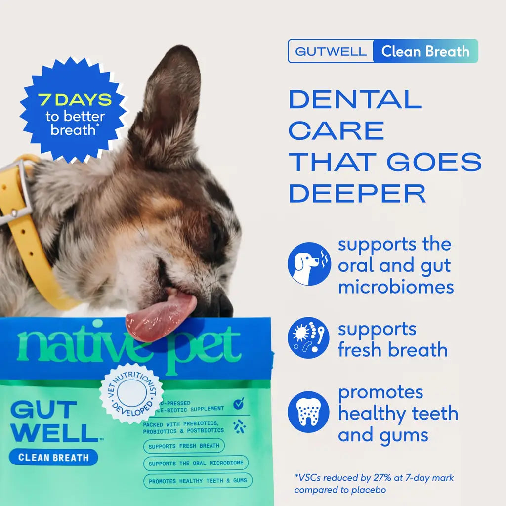 Native Pet GutWell | Dog Breath Freshener & Teeth Cleaning Powder | Triple-Biotic, Brown Algae & Zinc | 60 & 120 Scoops