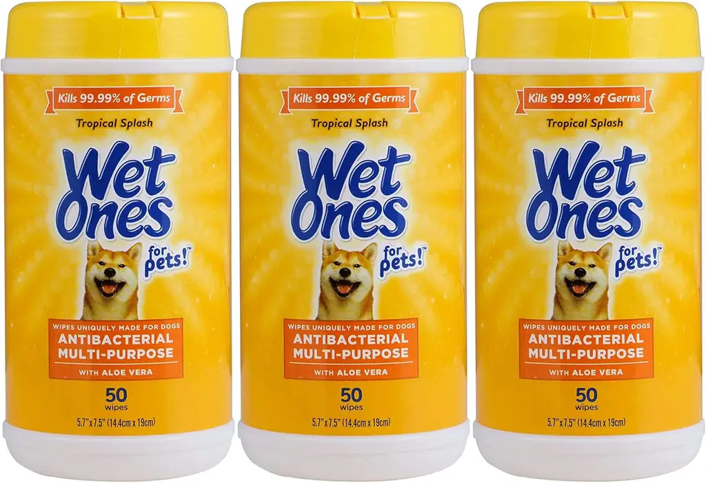 Wet Ones Antibacterial Dog Wipes with Aloe Vera, Tropical Splash Scent, 50 Count & 3-Pack | PawVortex