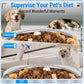 Smart Pet Feeder WiFi – Remote Feeding Anywhere