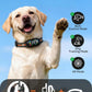 2-in-1 Dog Bark Collar & Shock Collar — Tallentrol IPX7 Waterproof E-Collar with Remote, 3300FT Range, for Small Medium Large Dogs (5–120 lbs)