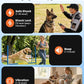 2-in-1 Dog Bark Collar & Shock Collar — Tallentrol IPX7 Waterproof E-Collar with Remote, 3300FT Range, for Small Medium Large Dogs (5–120 lbs)