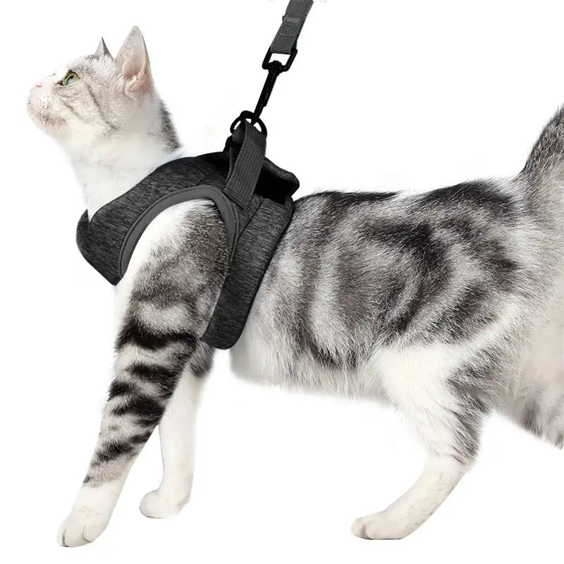 Adjustable Cat Harness & Leash – Secure Chest Strap
