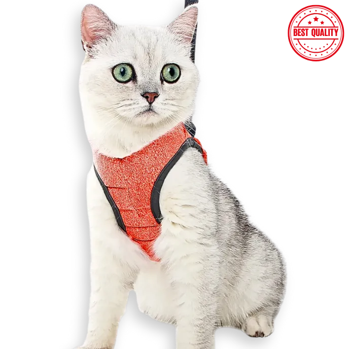 Adjustable Cat Harness & Leash – Secure Chest Strap