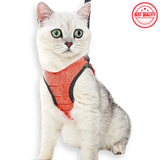Adjustable Cat Harness & Leash – Secure Chest Strap