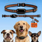 2-in-1 Dog Bark Collar & Shock Collar — Tallentrol IPX7 Waterproof E-Collar with Remote, 3300FT Range, for Small Medium Large Dogs (5–120 lbs)