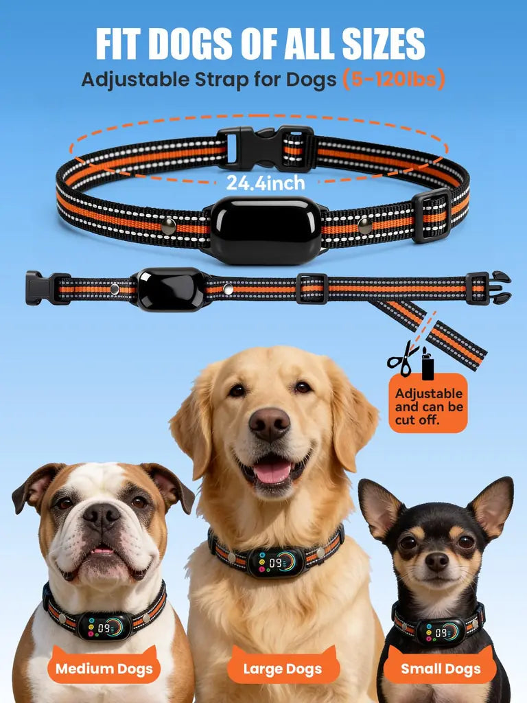 2-in-1 Dog Bark Collar & Shock Collar — Tallentrol IPX7 Waterproof E-Collar with Remote, 3300FT Range, for Small Medium Large Dogs (5–120 lbs)