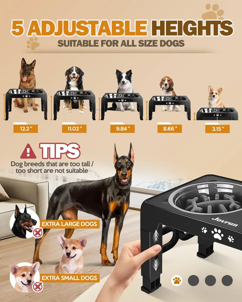 Elevated Dog Bowl Slow – Anti Bloat & Adjustable Dog Feeder