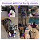 HGB Indestructible Dog Chew Toy for Aggressive Chewers – Squeaky Dental Nylon