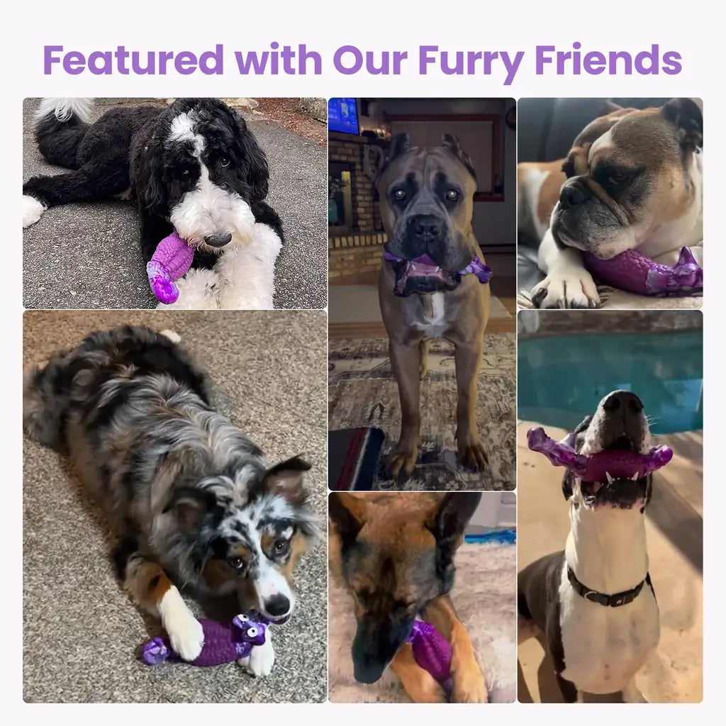 HGB Indestructible Dog Chew Toy for Aggressive Chewers – Squeaky Dental Nylon