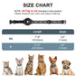 Reflective AirTag Cat Collar with Integrated Holder, Bell & Safety Elastic