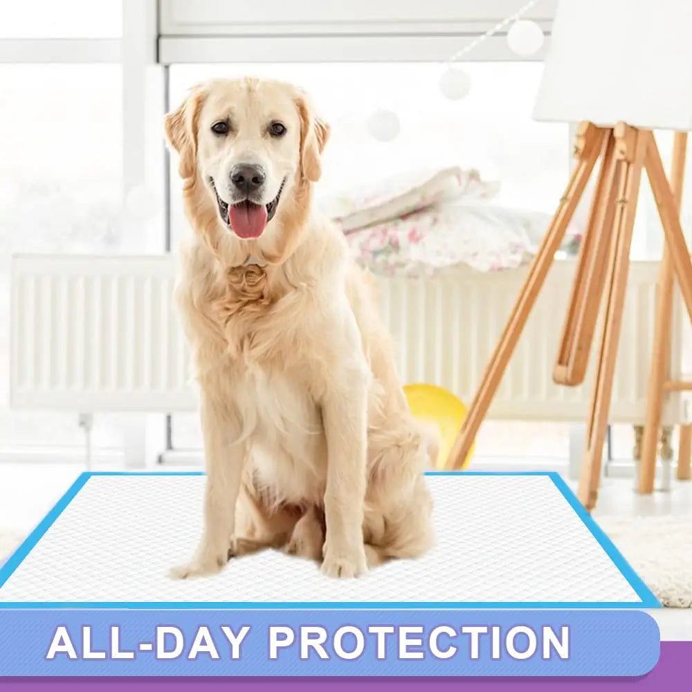 IMMCUTE Puppy Pee Pads 22"x23" & 30"x28" | 6-Layer Super Absorbent Leak-Proof Disposable Dog Training Pads