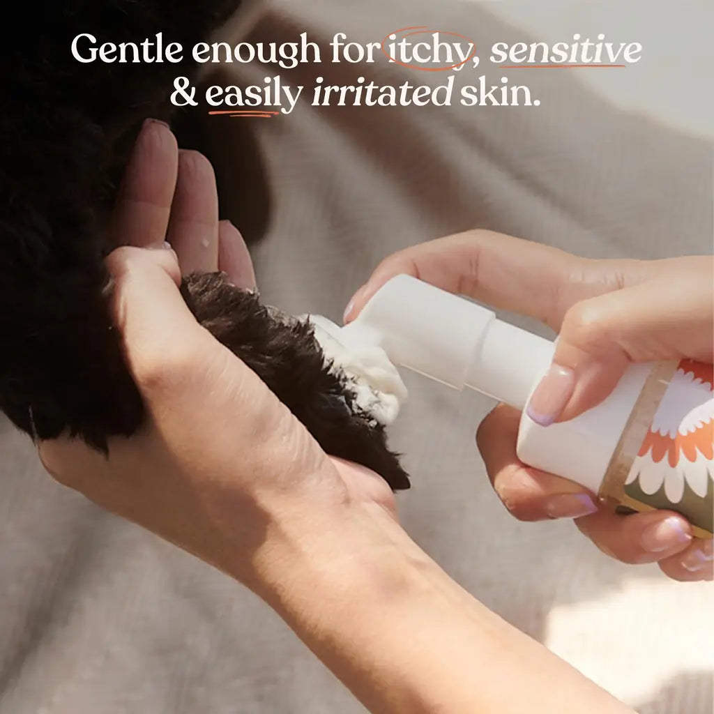 Dandylion No-Rinse Dog Paw Cleaner Fragrance-Free Foaming Spray