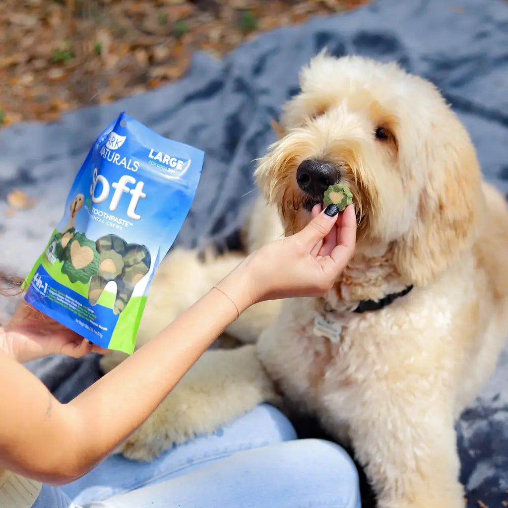Ark Naturals Dental Chews for Small Dogs, Soft Brushless Toothpaste, Freshens Breath & Reduces Plaque
