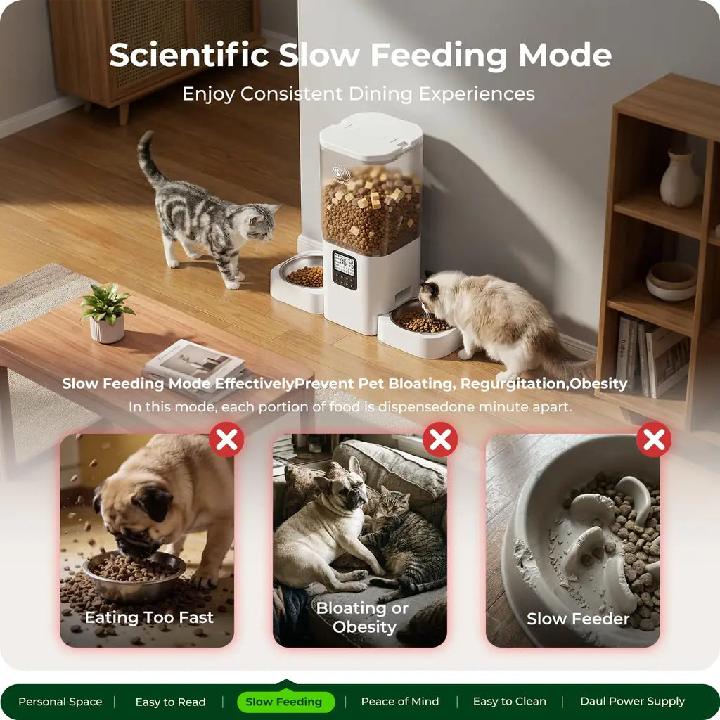 Frienhund Cat Feeder – Easy to Read 2.4" Display