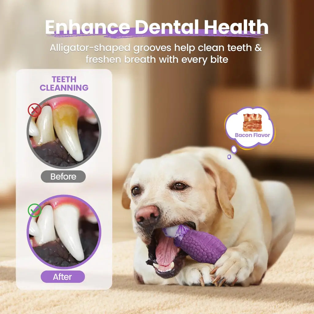 HGB Indestructible Dog Chew Toy for Aggressive Chewers – Squeaky Dental Nylon