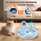 Bsemax Automatic Wet Cat Food Feeder with Ice Packs – 4-Meal Timed Dispenser for Cats & Dogs