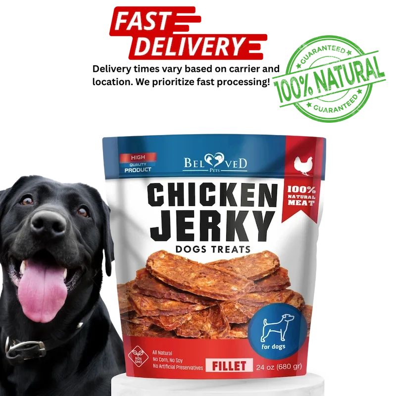 Chicken Jerky Dog Treats 1.5 Lb Human Grade Pet Snacks Grain Free
