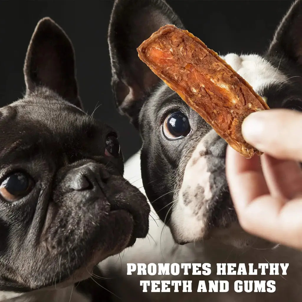 Chicken Jerky Dog Treats 1.5 Lb Human Grade Pet Snacks Grain Free