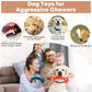 Dog Chew Toys for Aggressive Chewers – 2 Pack Indestructible