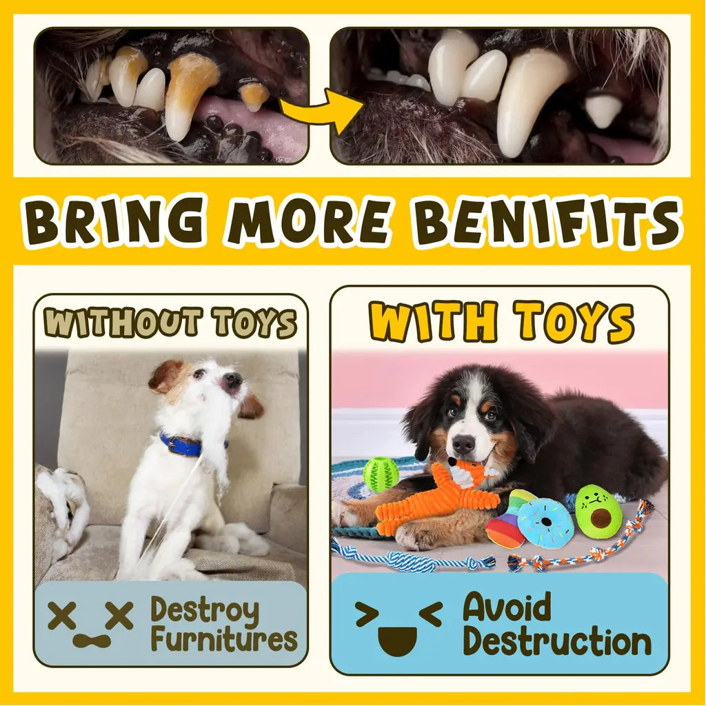 Zeaxuie Luxury Puppy Toys for Teething Small Dogs – Squeaky, Rope & Treat Ball Set