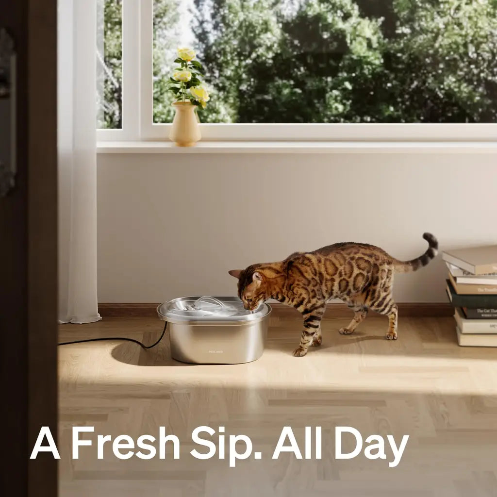 PETLIBRO Cat Water Fountain Stainless Steel – 101oz, Adjustable Flow, Dishwasher Safe
