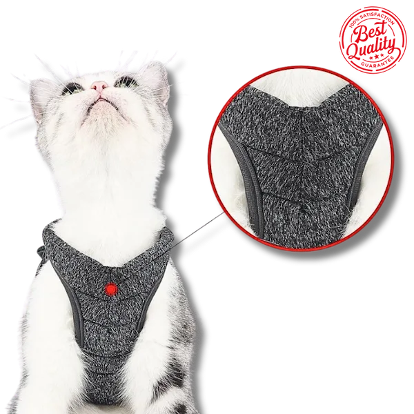 Cat Walking Harness & Leash – Outdoor Traction Rope