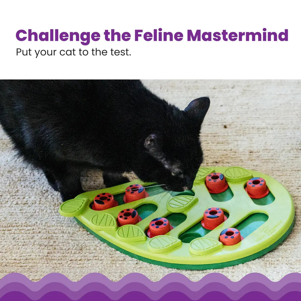 Catstages Nina Ottosson Rainy: Interactive Cat Puzzle Feeder