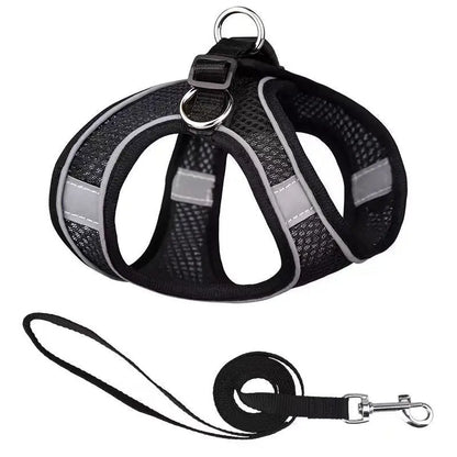Adventure-Flow Reflective Harness & Leash Set