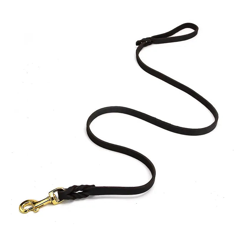 Leather Dog Leash for Large Dogs – German Shepherd & Golden Retriever