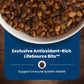 Blue Buffalo Life Protection Formula Puppy Dry Dog Food | Chicken & Brown Rice | DHA, ARA & Natural Ingredients | 5 lb, 15 lb, 30 lb & 34 lb