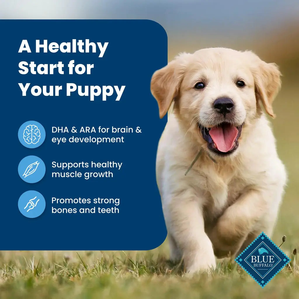 Blue Buffalo Life Protection Formula Puppy Dry Dog Food | Chicken & Brown Rice | DHA, ARA & Natural Ingredients | 5 lb, 15 lb, 30 lb & 34 lb