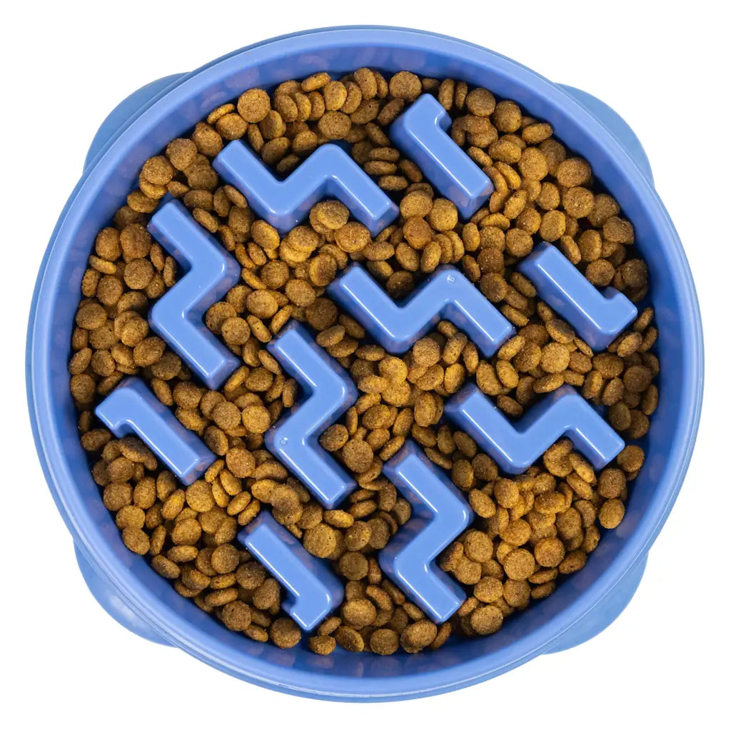 4-Cup Slow Feeder Dog Bowl for Large Breeds