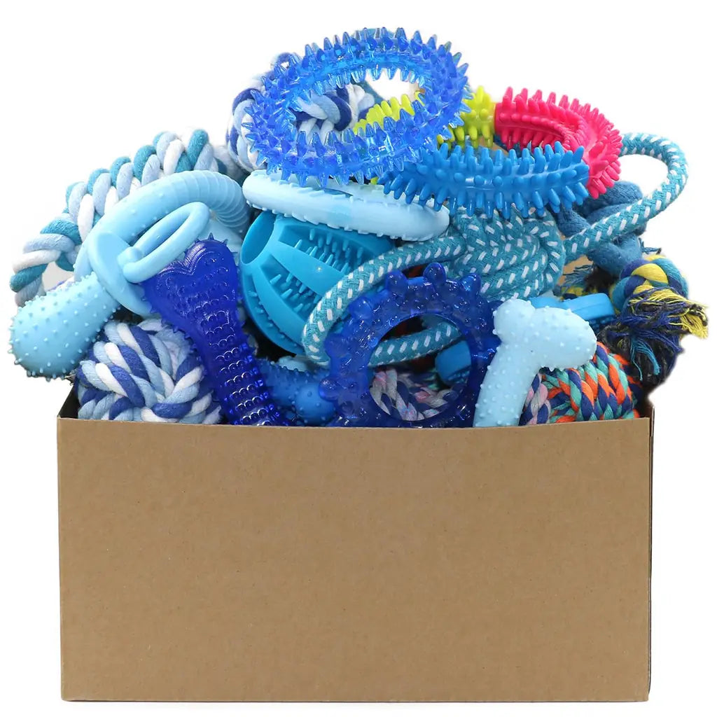Beiker 20-Pack Puppy Chew Toys | Teething Kit for Small Dogs