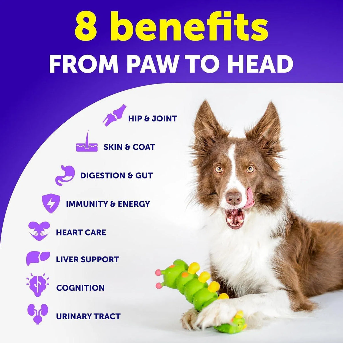 20-in-1 Dog Multivitamin Soft Chews – Duck Flavor, 120 ct