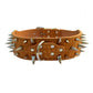 Spiked Leather Dog Collar – Crocodile Pattern for Large Dogs