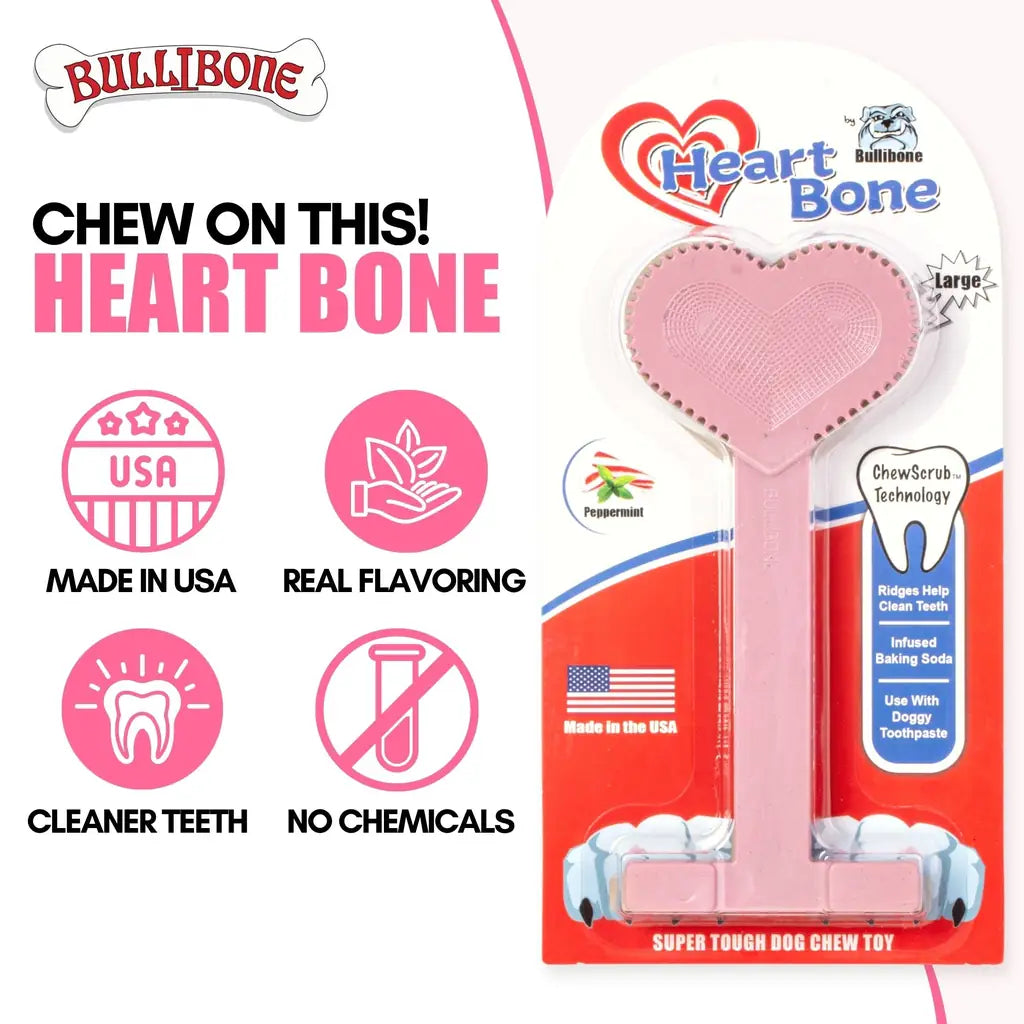 Nylon Chew Toy:Dental Tough for Aggressive Chewers 2026