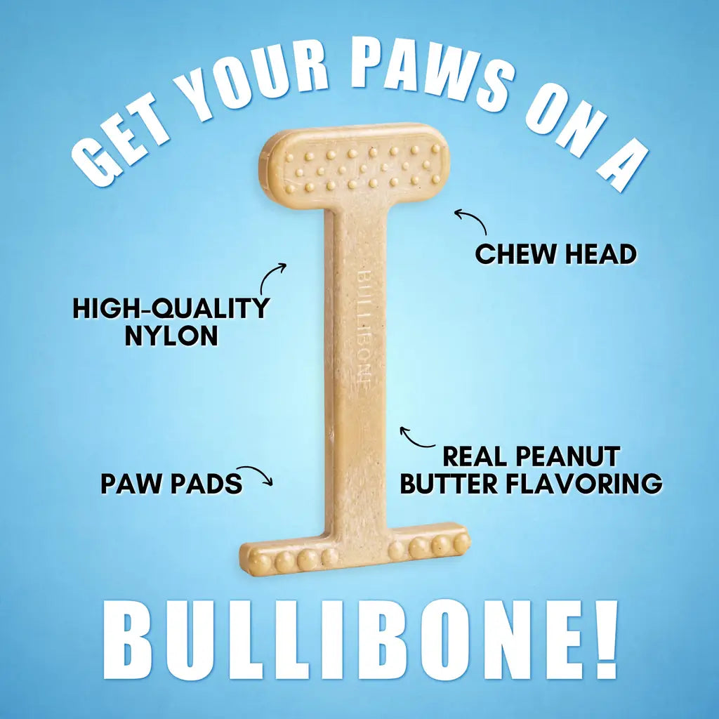 Nylon Chew Toy:Dental Tough for Aggressive Chewers 2026