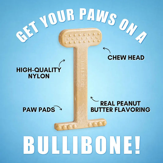 Nylon Chew Toy:Dental Tough for Aggressive Chewers 2026