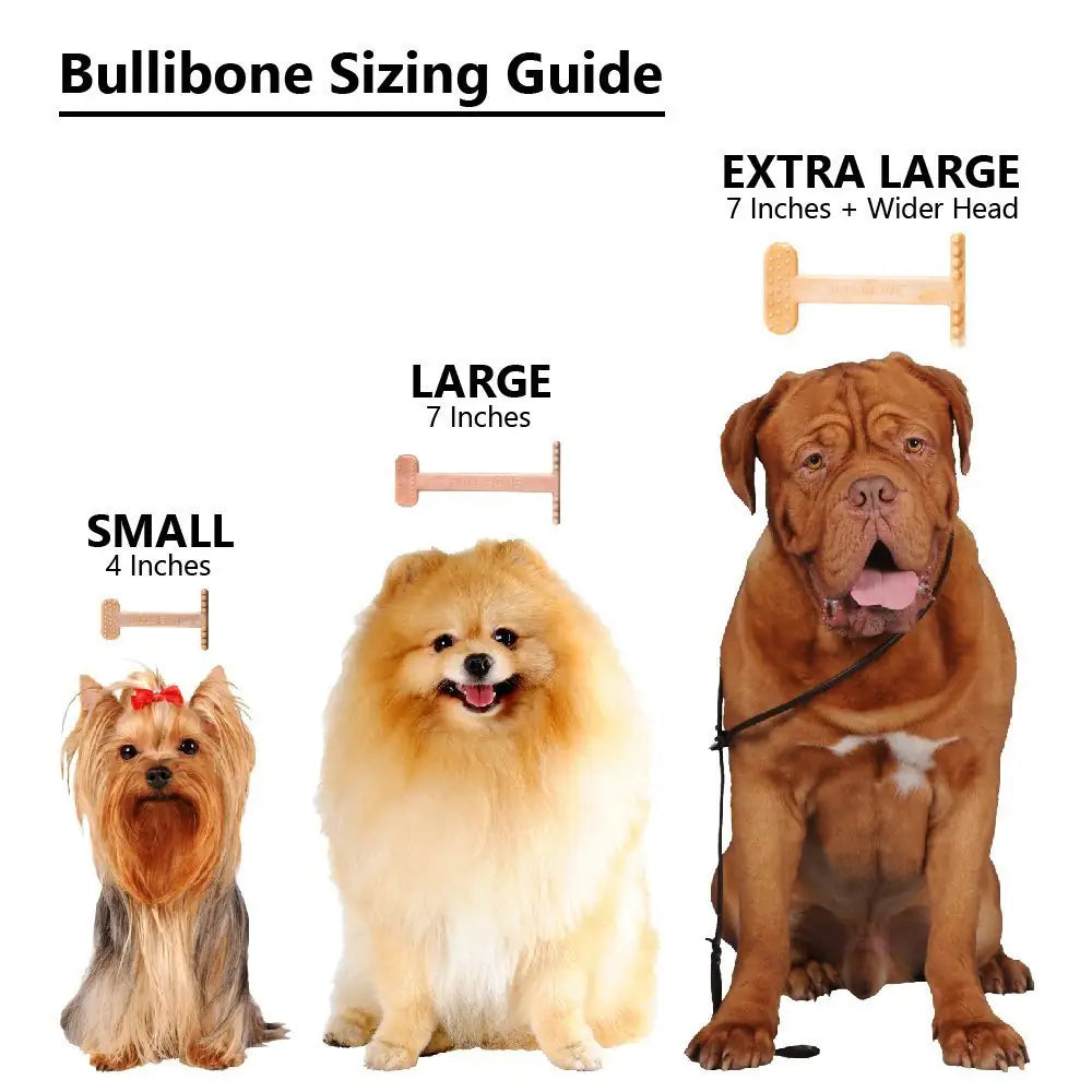 Nylon Chew Toy:Dental Tough for Aggressive Chewers 2026