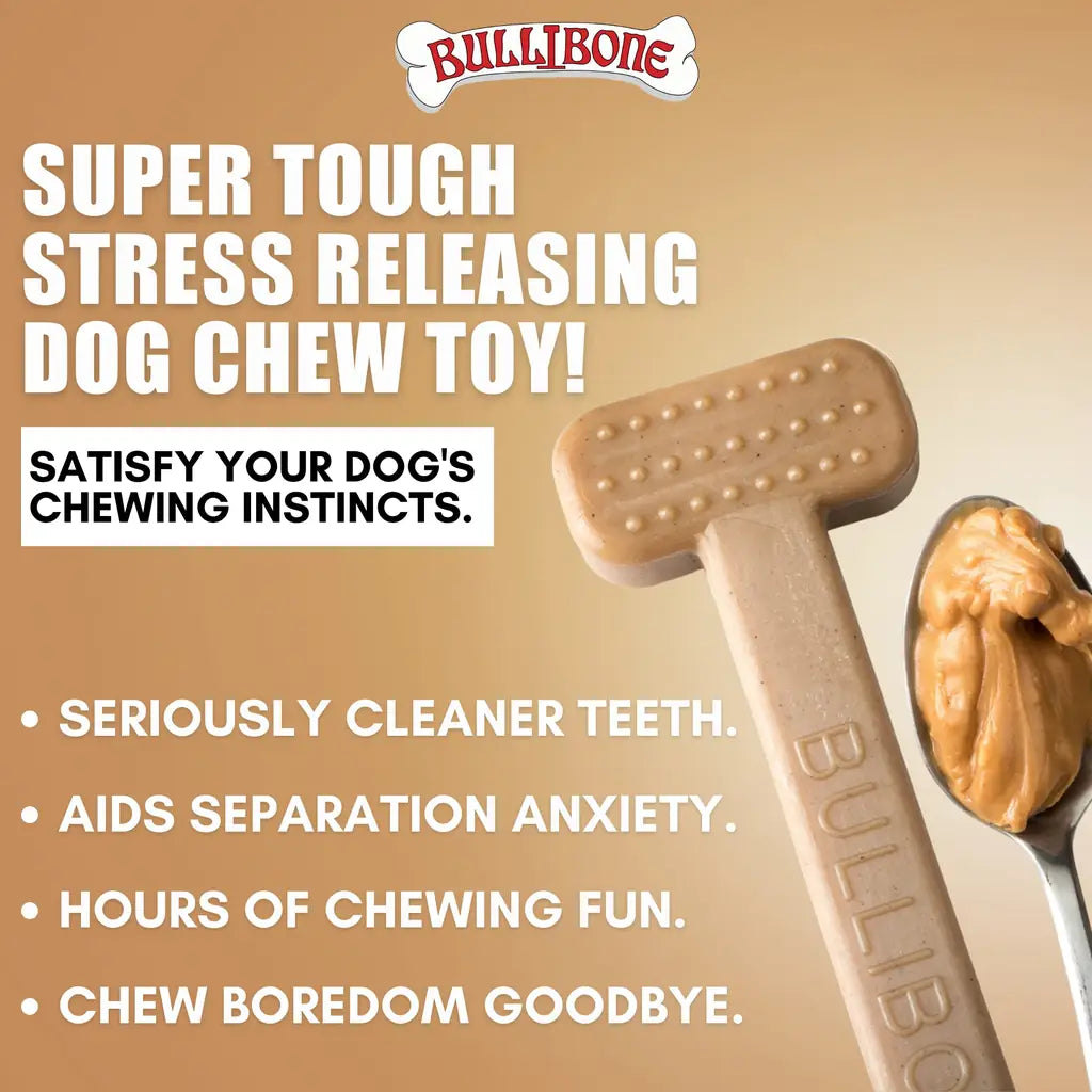Nylon Chew Toy:Dental Tough for Aggressive Chewers 2026