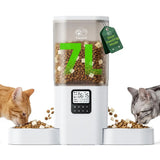 Frienhund Cat Feeder – Easy to Read 2.4" Display