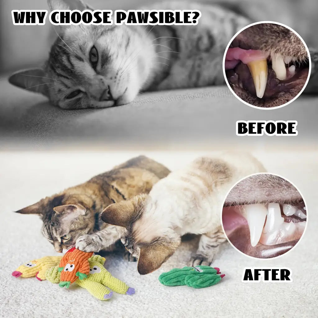 Organic Catnip Toys for Indoor Cats – 100% Pure Catnip, No Cotton, Plush Chew & Kicker Toys