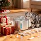Cat Water Fountain Stainless Steel – 74oz, Quiet Pump, Healthy Hydration