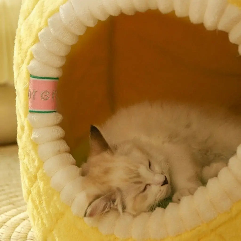 Pineapple Hideaway - Enclosed Cat Tent for Cozy Naps