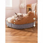 Cozy Bear Pet Sofa - Thick Plush Bed for Small Dogs & Cats
