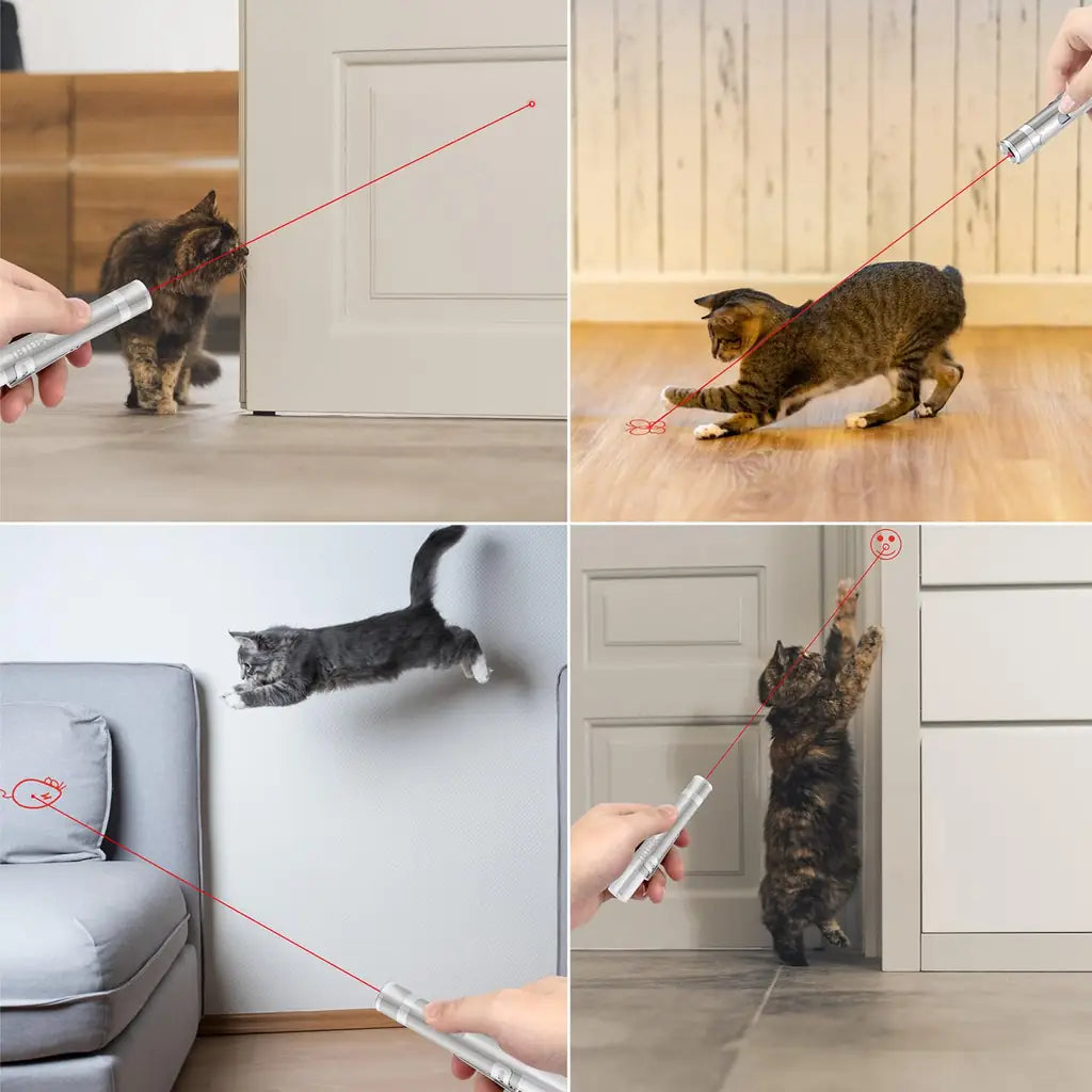 Rechargeable Laser Cat Toy - 5 Patterns 3 Modes