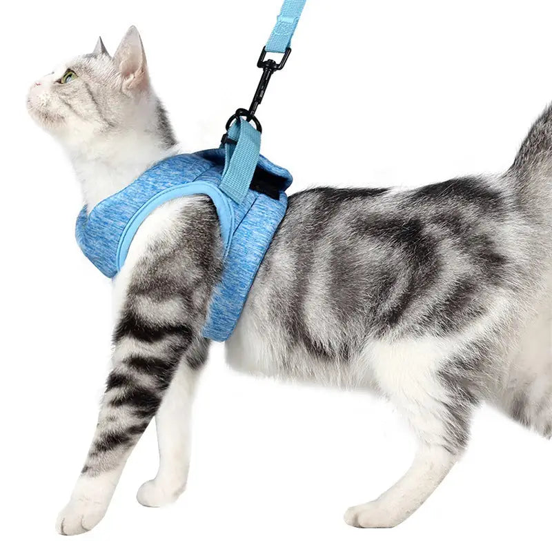 Cat Walking Harness & Leash – Outdoor Traction Rope